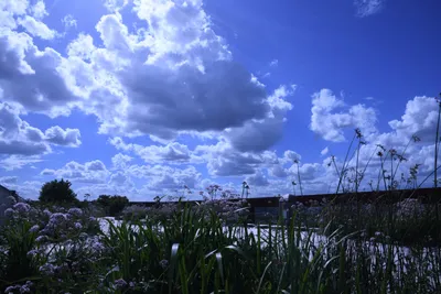 DSC_1689 (Large).JPG